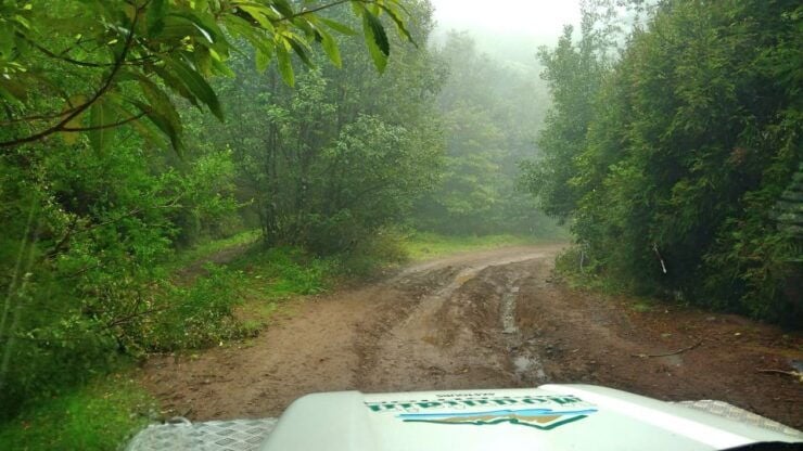 Madeira: Mini-Combo East Challenge: Jeep Safari Levada - Booking Details