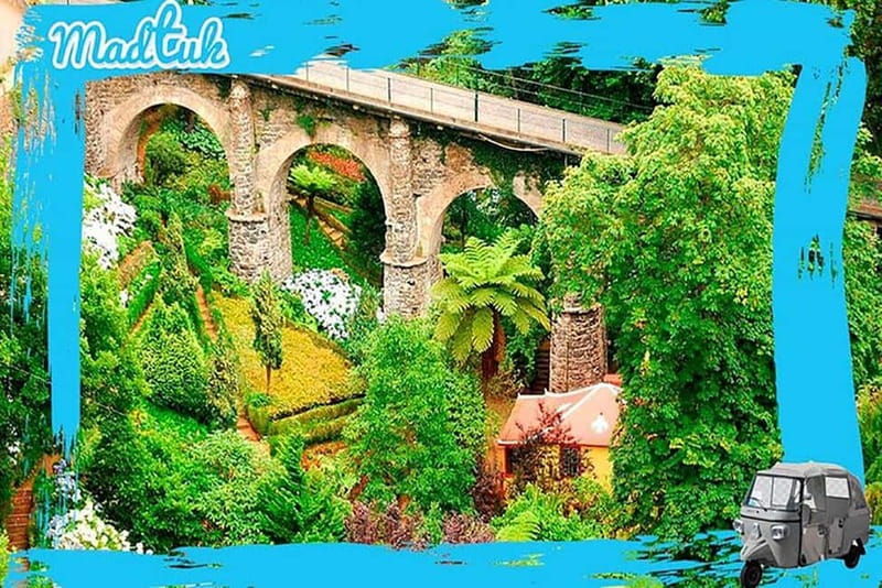 Madeira: Monte Toboggan + Old Town Tuk-Tuk Tour by MadTuk - Who Will Love This Tour?