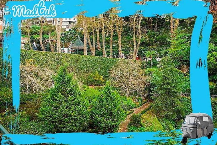 Madeira: Monte Toboggan + Old Town Tuk-Tuk Tour by MadTuk - Final Thoughts