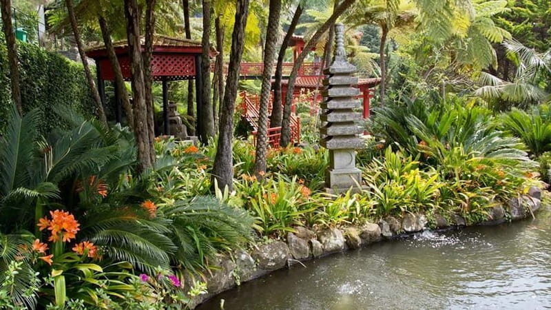 Madeira: Monte Tropical Gardens + Old Town Tuk Tuk by MadTuk - An In-Depth Look at the Madeira Monte Tuk Tuk Tour