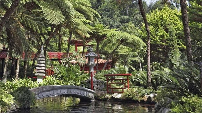 Madeira: Monte Tropical Gardens + Old Town Tuk Tuk by MadTuk - FAQ