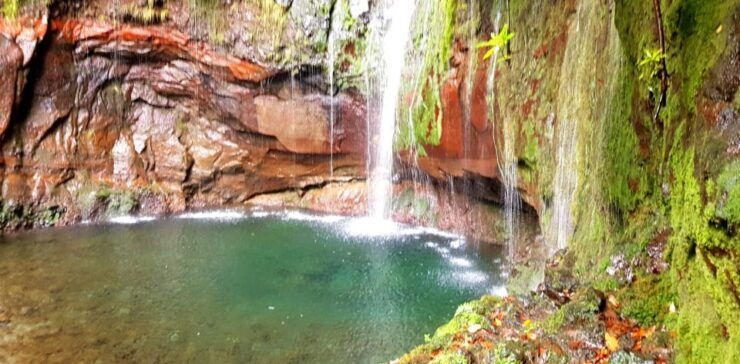 Madeira: Mountain Walk With Lagoon and Waterfalls - Witnessing the Lagoon and Waterfalls