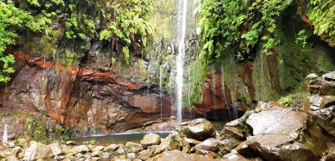 Madeira: Mountain Walk With Lagoon and Waterfalls - Experiencing the Beauty of Risco Waterfall