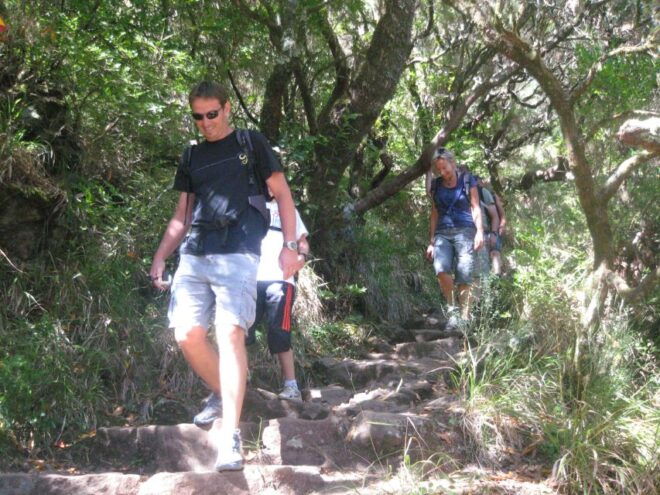 Madeira: Mountain Walk With Lagoon and Waterfalls - Walking the Levadas Path With a Guide