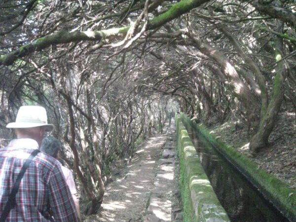 Madeira: Mountain Walk With Lagoon and Waterfalls - Common Questions