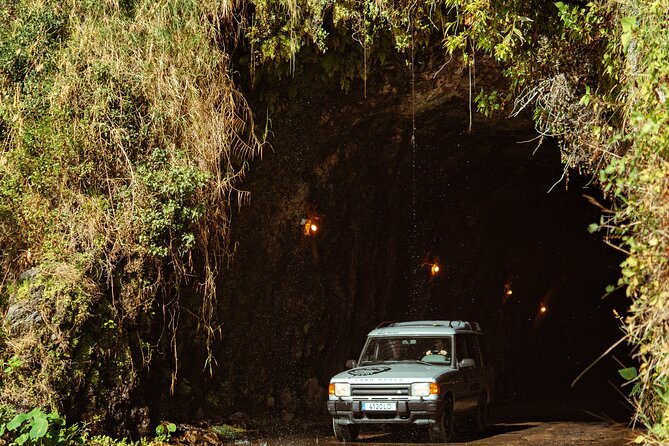 Madeira "Mystery Tour" Full-Day - Private 4x4 Jeep - Additional Services and Fees