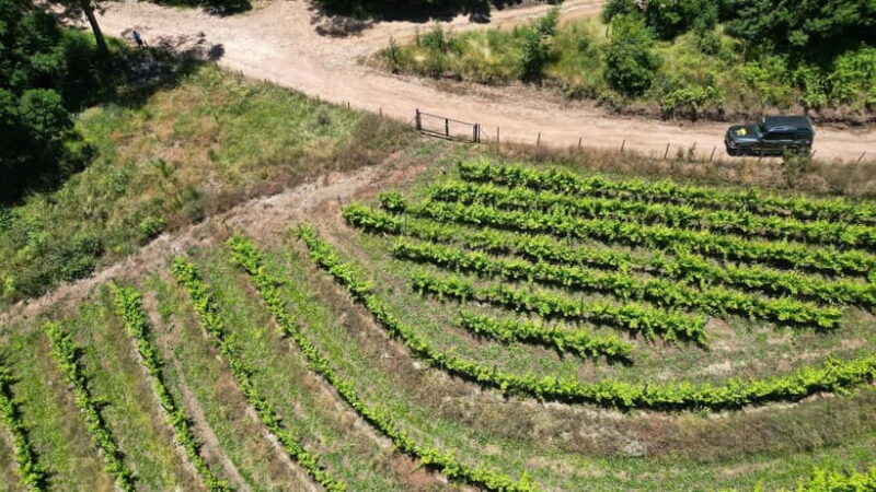 Madeira: Mystical 4WD Jeep Tour - The Sum Up: Who Should Consider This Tour?