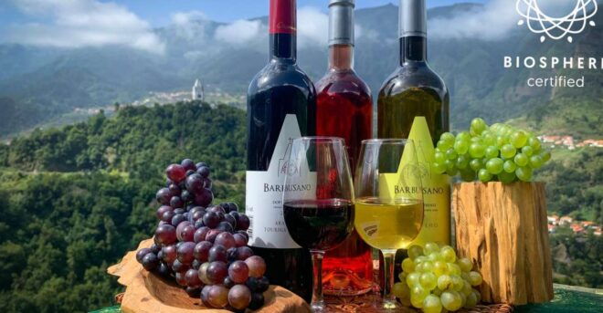 Madeira: Nature & Wine 4x4 Tour From Funchal or Caniço - Visit to Cabo Girão, Europes Highest Cliff