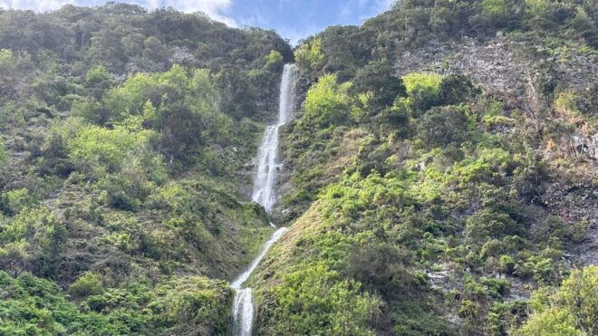 Madeira Northern Highlights Seixal, Santana, Guindaste Faial - Customer Feedback