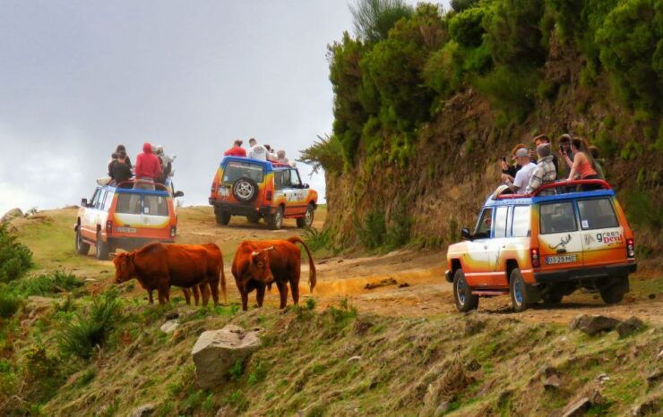 Madeira: Northwest Full-Day 4x4 Tour - Experience