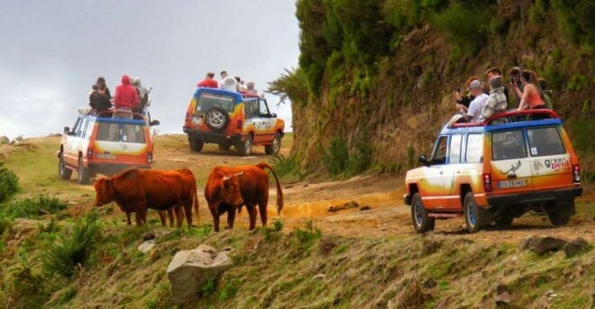 Madeira: Northwest Full-Day 4x4 Tour - Full Description