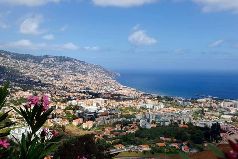 Madeira: Nuns Valley and Câmara de Lobos Half-Day Tour - An In-Depth Look at the Madeira: Nuns Valley and Câmara de Lobos Tour