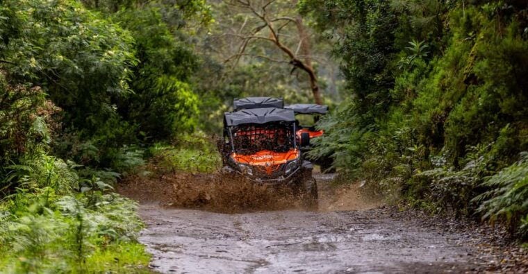 Madeira: OFF-ROAD BUGGY ADVENTURE TO FUNDURAS - Who Should Consider This Tour?