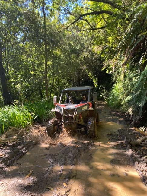 Madeira: Off-Road Buggy Driving Experience - Madeira: Off-Road Buggy Driving Experience