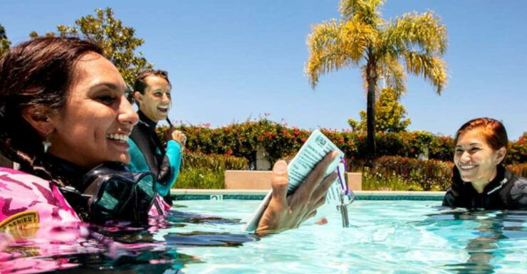 Madeira: Open Water Diver First Certification Course - Course Overview