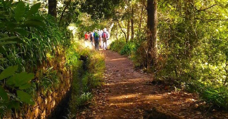 Madeira: Paradise Valley Levada Walk - Activity Information