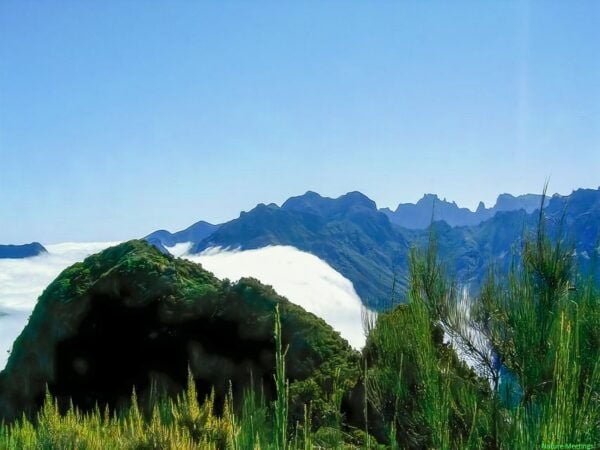 Madeira: Pico Arieiro to Pico Ruivo Hike - Pickup, Transfer, and Additional Information