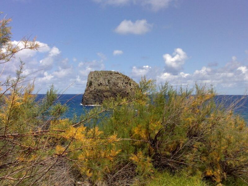 Madeira: Pico do Arieiro & Laurissilva Forest - East tour - Starting with Camacha