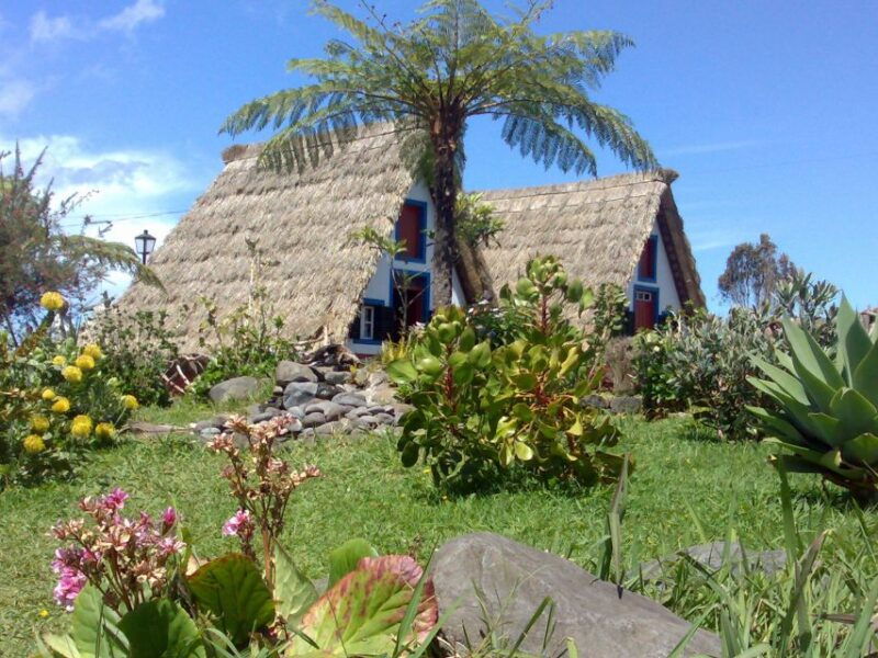Madeira: Pico do Arieiro & Laurissilva Forest - East tour - Walk in Laurissilva Forest
