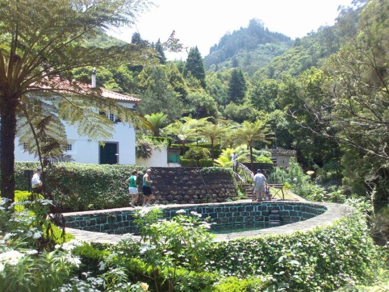 Madeira: Pico do Arieiro & Laurissilva Forest - East tour - Viewpoints and Coastal Highlights