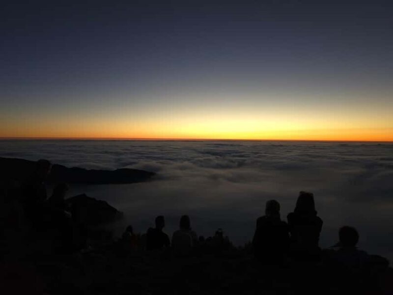 Madeira: Pico do Arieiro Sunrise Tour with Breakfast - The Sum Up