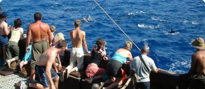 Madeira Pirate Ship: 3-Hour Boat Trip - Inclusions