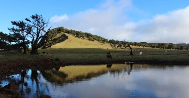 Madeira Plateau Walks - Participant Limit and Language