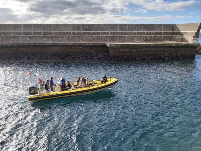 Madeira: Ponta de São Lourenço Lighthouse Boat Tour - The Sum Up
