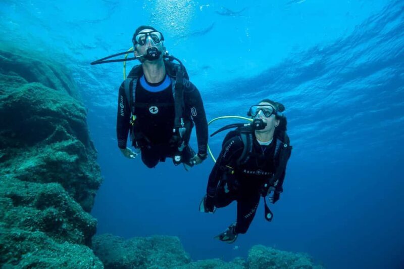 Madeira: Ponta de São Lourenço Shore Dive (certified divers) - Marine Life: A Colorful Underwater Community