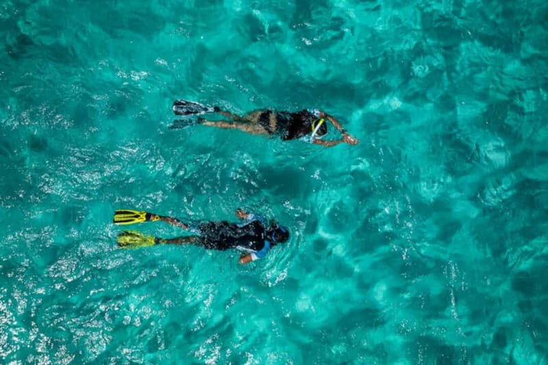 Madeira: Ponta de São Lourenço Snorkeling Boat trip - Good To Know 