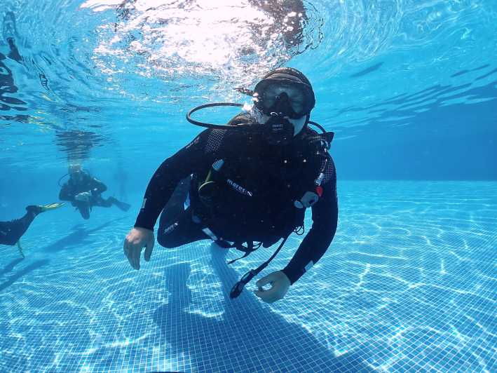 Madeira, Ponta São Lourenço: Scuba Diving for Beginners - Experience and Itinerary