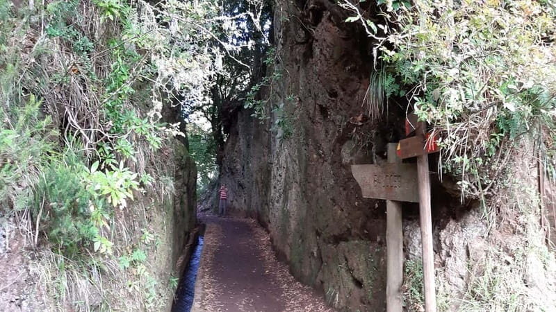Madeira: Private 1.5-Kilometer Levada dos Balcões Hike PR11 - Authentic Experiences and Review Highlights