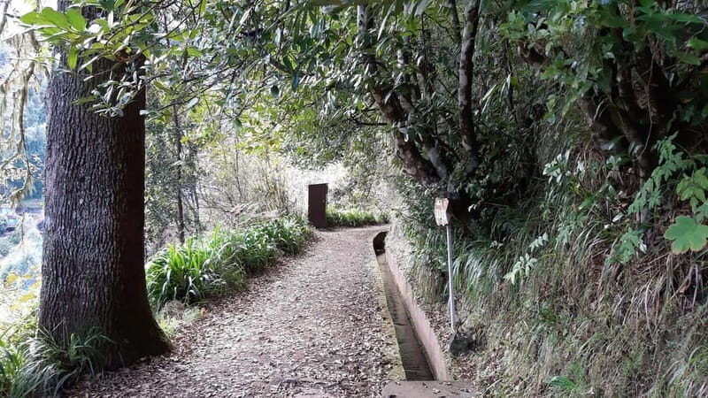 Madeira: Private 1.5-Kilometer Levada dos Balcões Hike PR11 - Final Thoughts