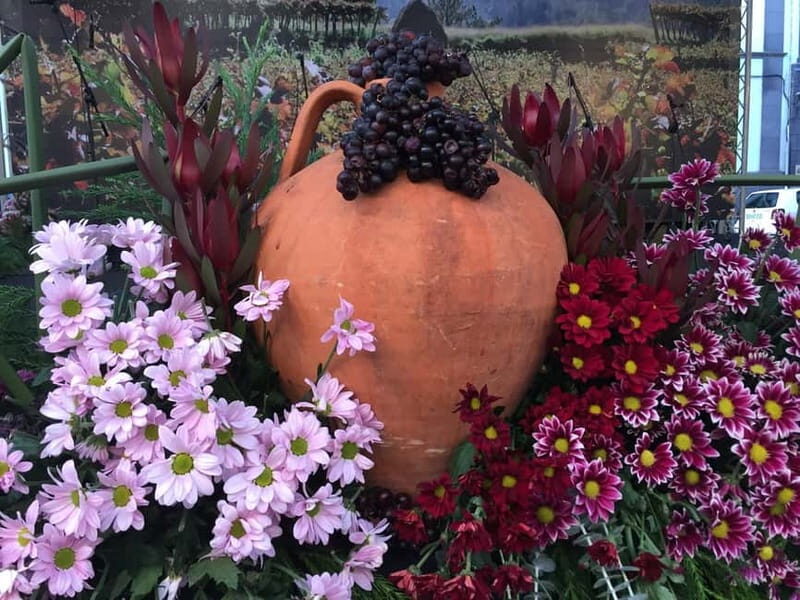 Madeira Private 4-Seater Mercedes VIP - Good To Know