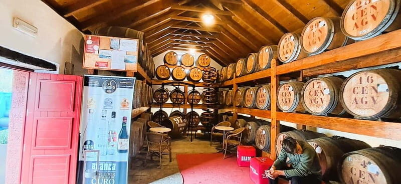 Madeira: Private 4x4 Nature Tour with Guide - Price and Value