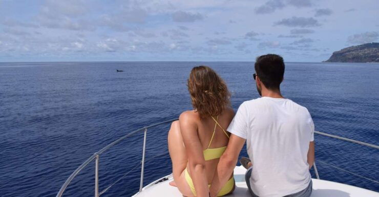 Madeira: Private Cruise Whale and Dolphin Watching 2.5-Hour - Booking Details