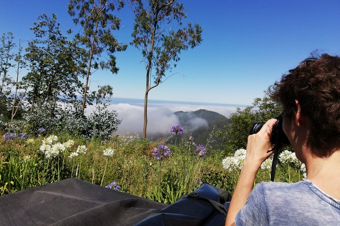 Madeira Private Full-Day 4x4 Sightseeing Tour - Tour Details