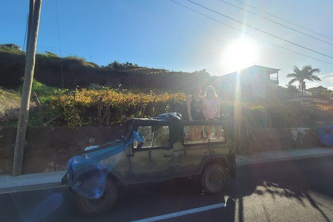 Madeira Private Full-Day 4x4 Sightseeing Tour - Traveler Feedback