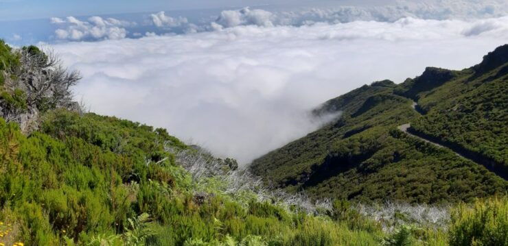 Madeira: Private Guided Achadas Teixeira - Pico Ruivo PR1.1 - Activity Overview