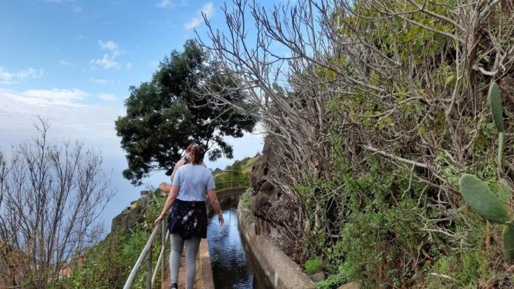 Madeira: Private Guided Levada Do Norte Walk - Activity Details