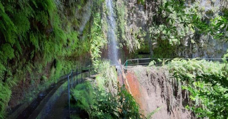 Madeira: Private Guided Levada Do Rei Walk PR18 - Experience Highlights