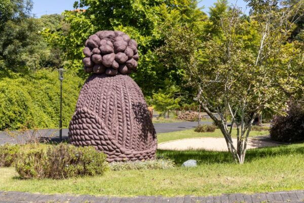 Madeira: Private Guided Madeira Theme Park Tour With Pickup - Booking and Cancellation Policy