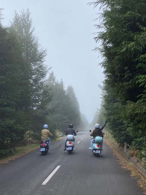 Madeira: Private Guided Vespa Tour Through Mountains - Who Is This Tour Best For?