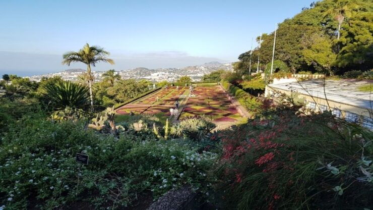 Madeira: Private Half-Day Guided Gardens Tour - Tour Activity Details