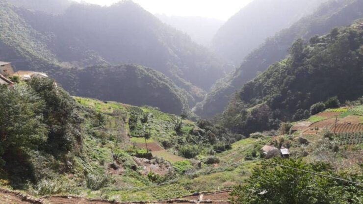 Madeira: Private Half-Day Jardim Da Serra Tour - Tour Highlights