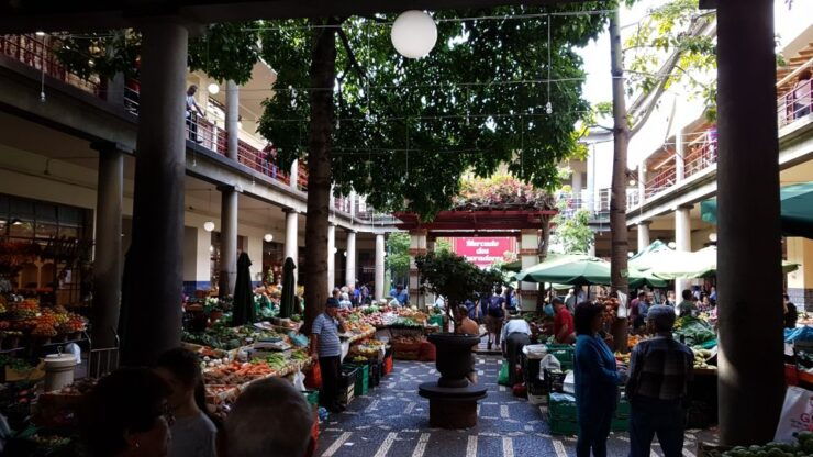 Madeira: Private Half-Day Local Market Tour - Booking and Logistics