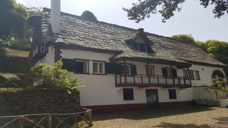 Madeira: Private Half-Day North East Island Tour - Experience Highlights