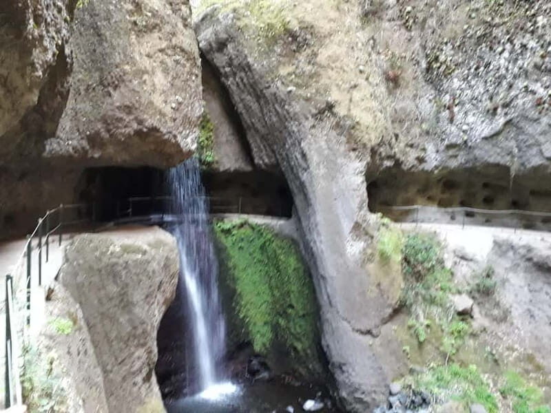 Madeira: Private Half-Day Walking and 4x4 off-road Tour - Walking the Levada: Nature and History in Harmony