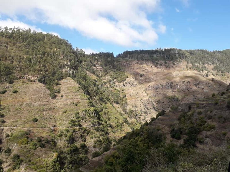 Madeira: Private Half-Day Walking and 4x4 off-road Tour - FAQs