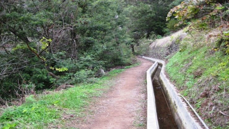 Madeira: Private Hike From Levada Do Caniçal to Machico - Activity Duration and Guides